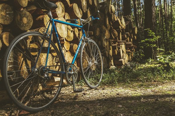 Ein blaues Fahrrad steht vor einem Stapel Holz im Wald