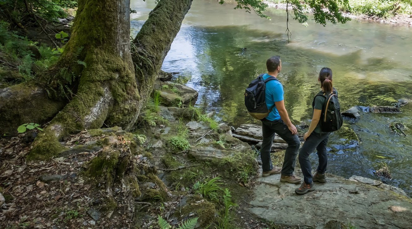 Zwei Personen stehen am Ufer eines ruhigen Flusses in einem Wald