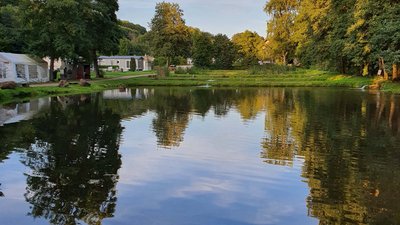 Ruhiger See mit Spiegelungen der Bäume und des Himmels