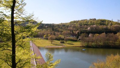 Panoramablick auf einen ruhigen See umgeben von Wald und Wiese