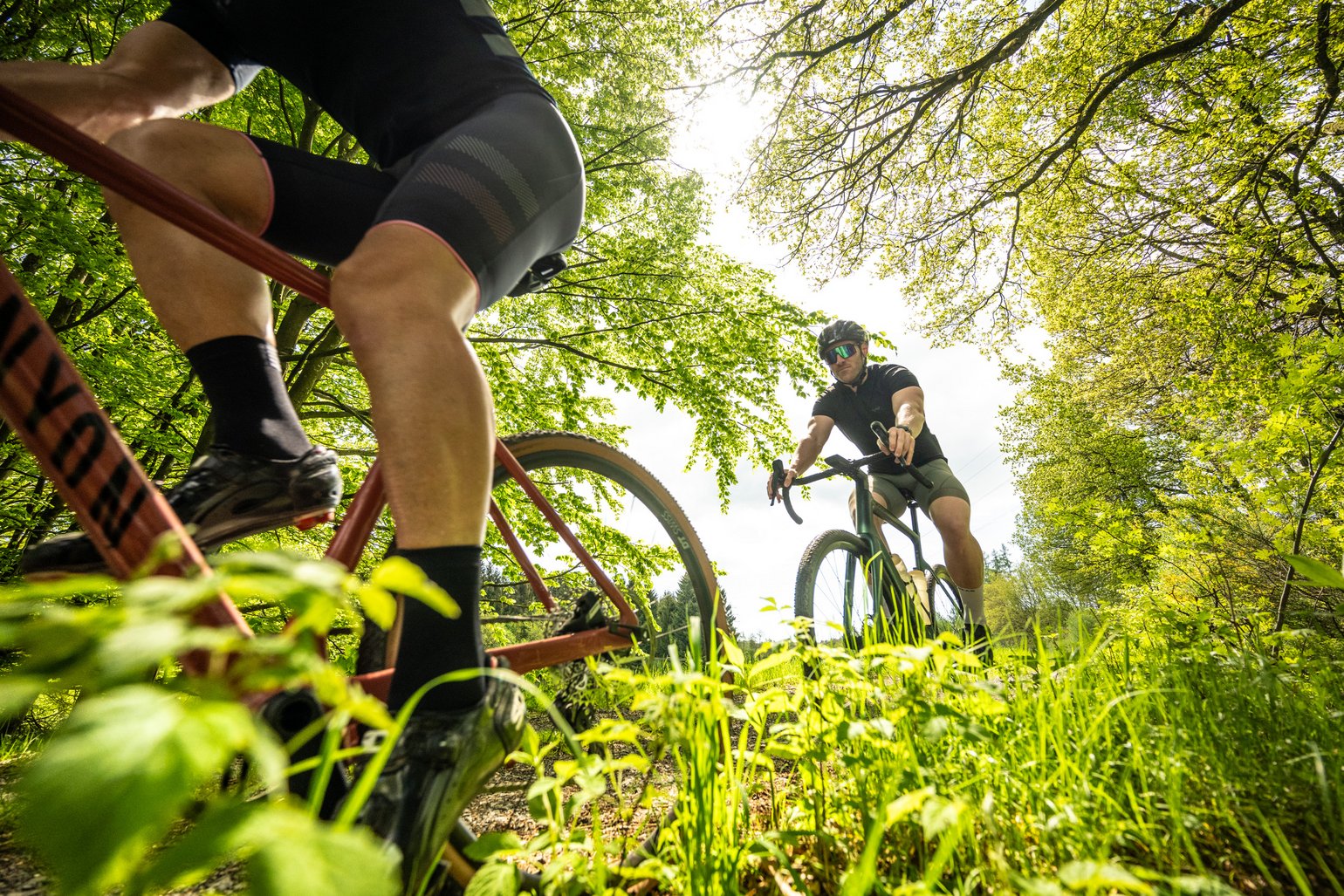 Zwei Radfahrer fahren auf einem Weg umgeben von üppigem Grün