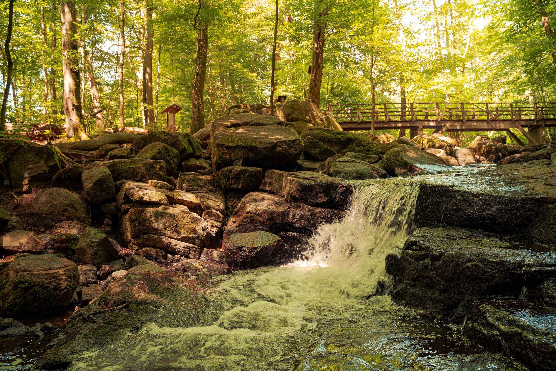 Ein Wasserfall fließt über Steine im Wald mit einer Brücke im Hintergrund.