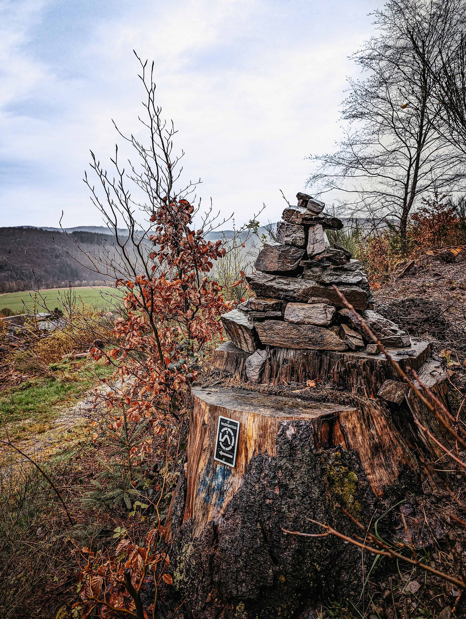 Gestapelte Steine auf einem Baumstumpf in einer ländlichen Umgebung