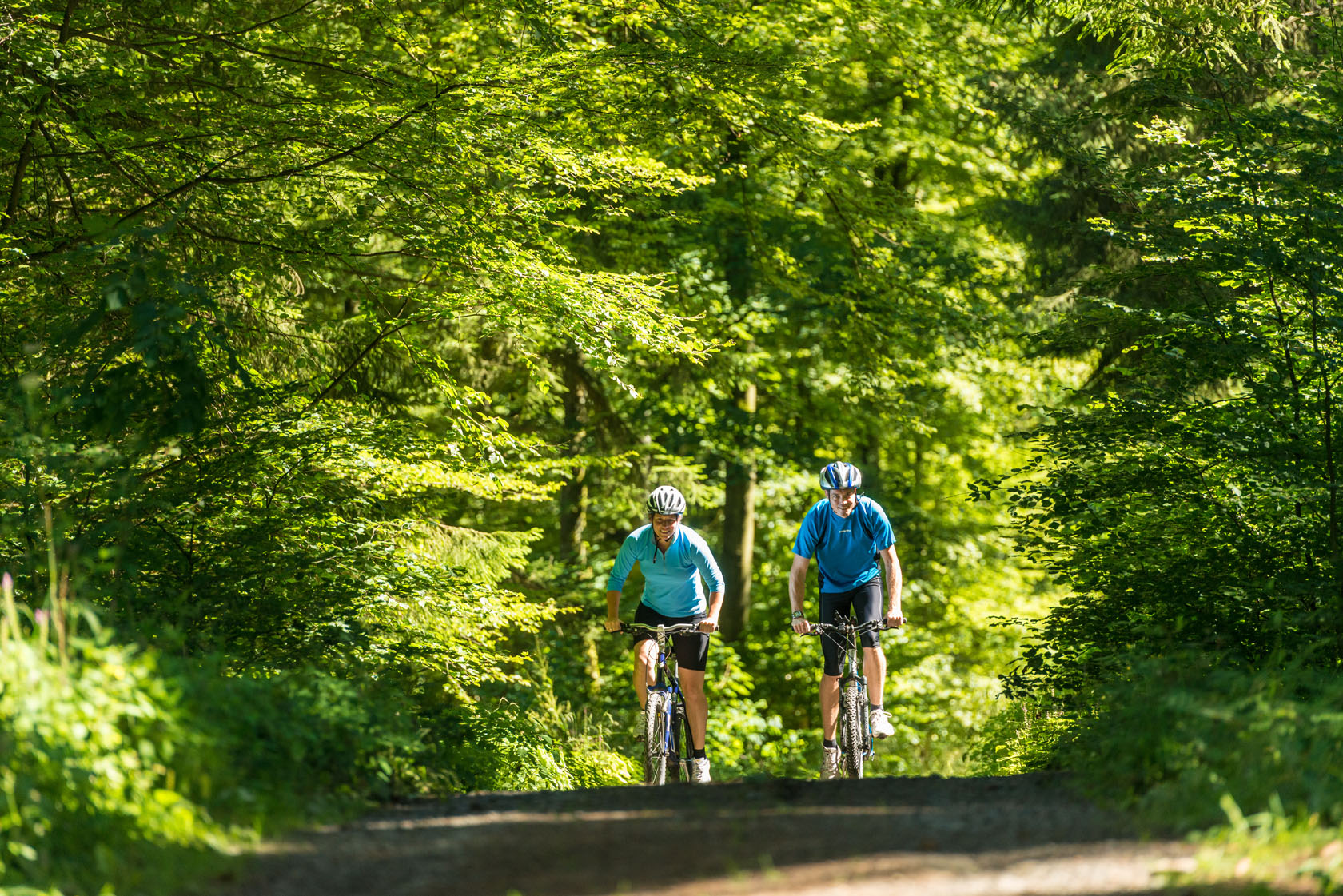 Zwei Radfahrer auf einem schmalen Weg durch einen bewaldeten Bereich