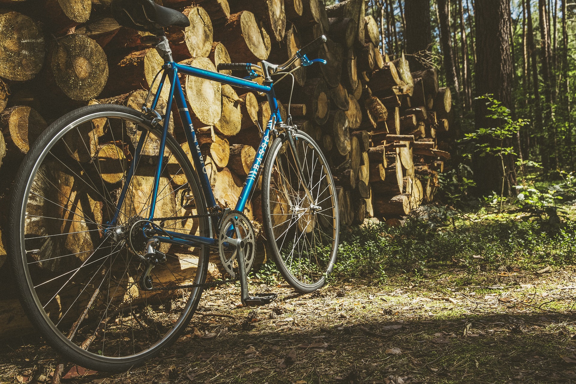 Ein blaues Fahrrad steht vor einem Stapel Holz im Wald