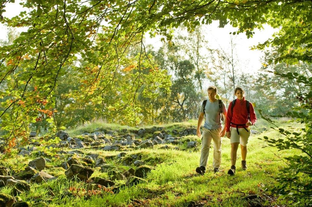 Zwei Personen wandern durch eine grüne Landschaft mit Bäumen und Steinen
