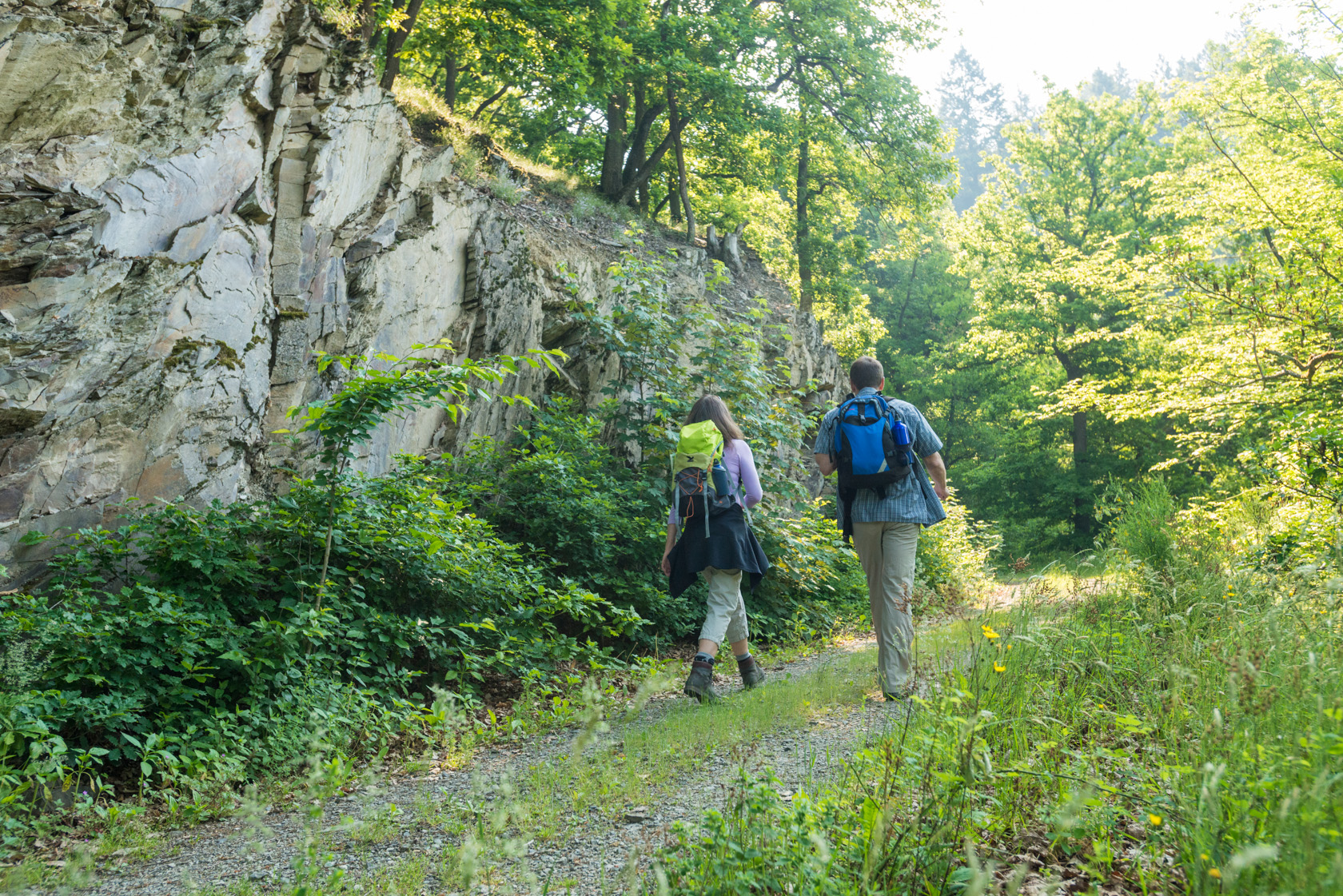 Zwei Personen wandern auf einem Naturweg in einem Waldgebiet