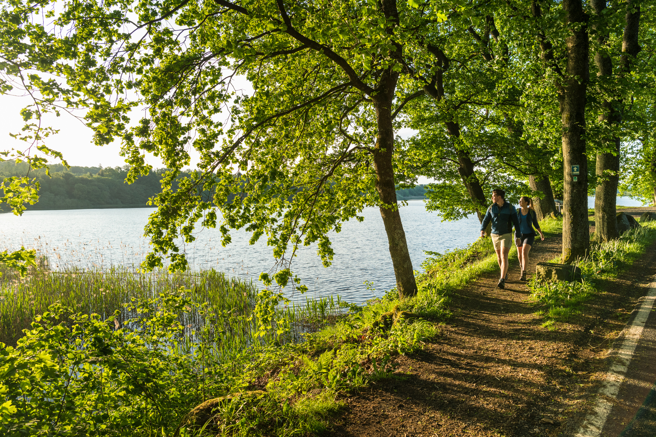 Menschen gehen entlang eines Ufers unter Bäumen in der Abendsonne