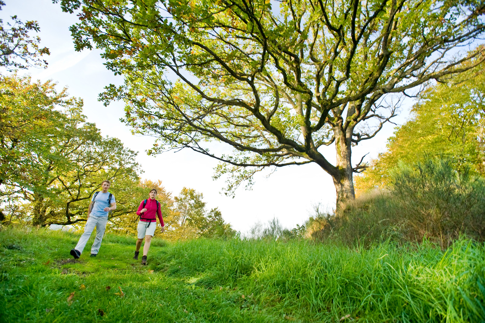 Zwei Personen wandern auf einem Pfad durch eine grüne Landschaft