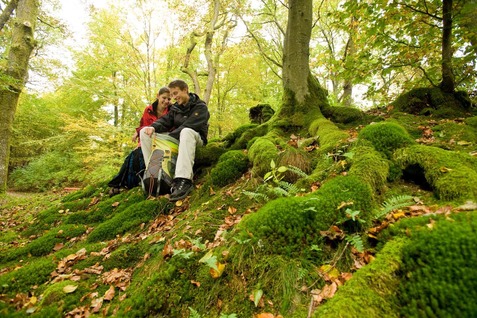 Two people sitting on a grassy slope in a forested area.
