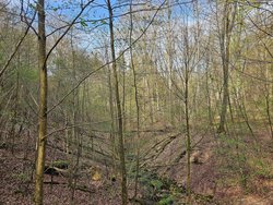Ansicht kleine Holzbachschlucht