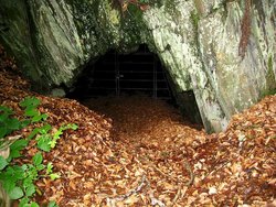 Fledermaushöhle